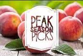 peak_season.jpg